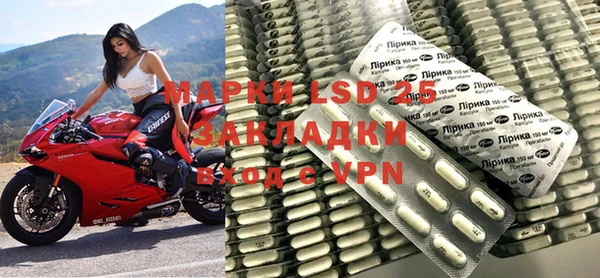 a pvp Магас