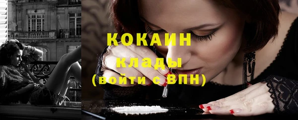 дживик Майский