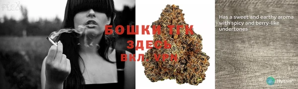 a pvp Магас
