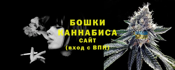 дживик Майский