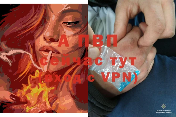 тгк Магадан